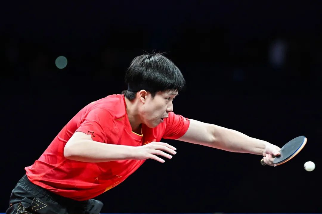 提供最新最 提供最新最